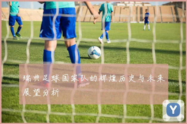 瑞典足球国家队的辉煌历史与未来展望分析