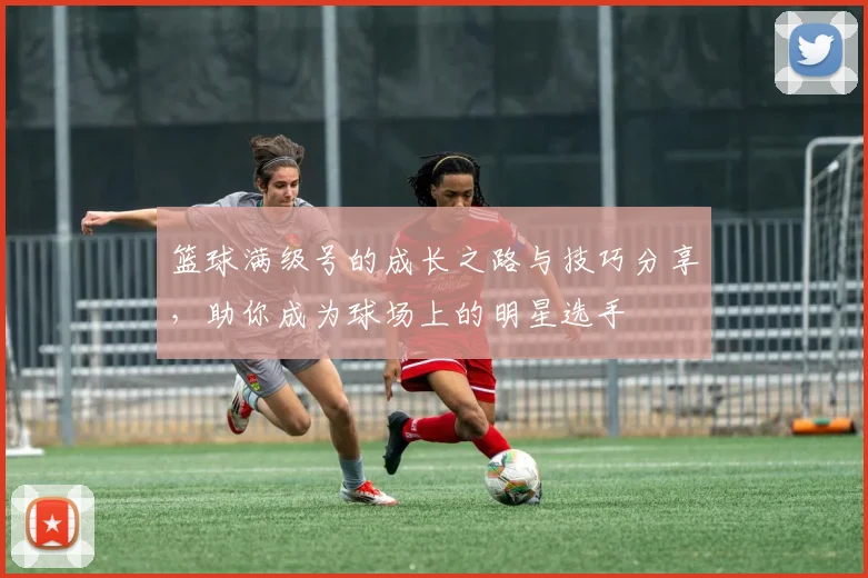 篮球满级号的成长之路与技巧分享，助你成为球场上的明星选手